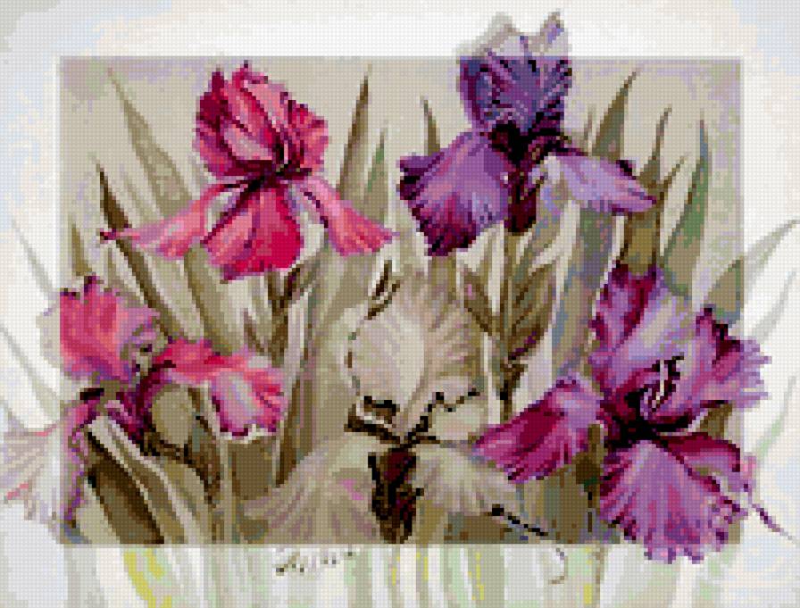 Ирисы - цветы, ирисы - предпросмотр