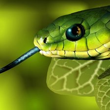 Схема вышивки «Змея! На год змеи!»