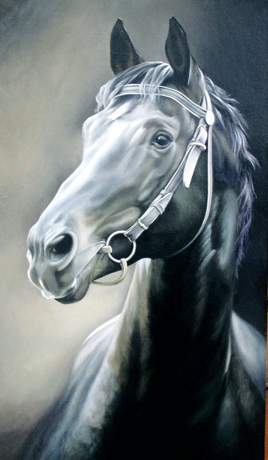 Конь - животные, конь, портрет, лошадь - оригинал