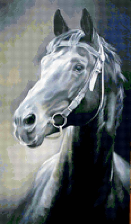 Конь - конь, животные, портрет, лошадь - предпросмотр
