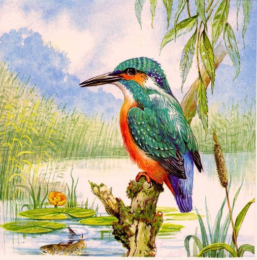 Зимородок - живопись, птицы - оригинал