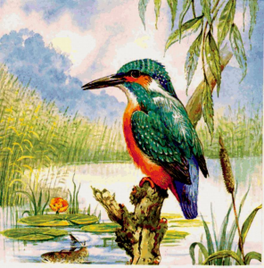 Зимородок - живопись, птицы - предпросмотр
