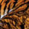 Предпросмотр схемы вышивки «семья тигра» (№194682)