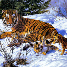 Схема вышивки «семья тигра»