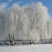 Схема вышивки «№194750»