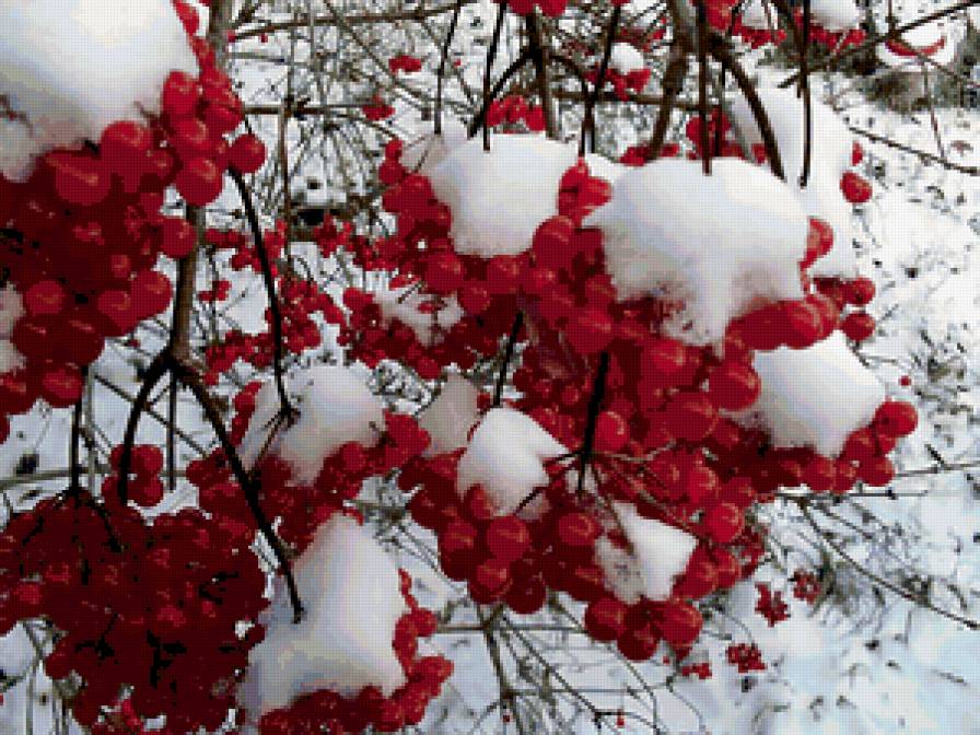 №194751 - предпросмотр