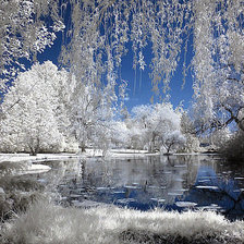 Схема вышивки «№194752»