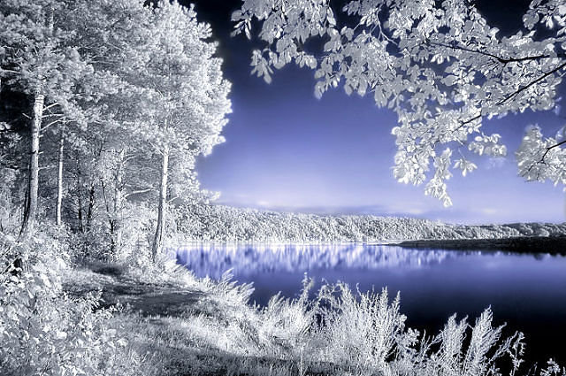 №194754 - оригинал