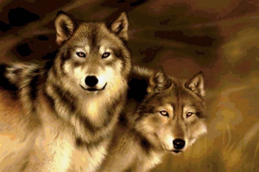 Пара волков - животные, волки - предпросмотр