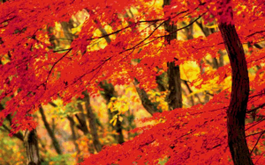 листья - предпросмотр