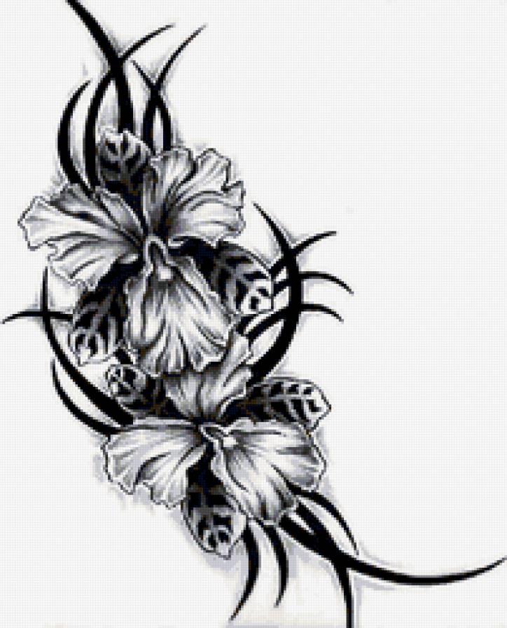 Тату. Орхидея - рисунок, монохром, орхидея, тату, цветок, цветы - предпросмотр