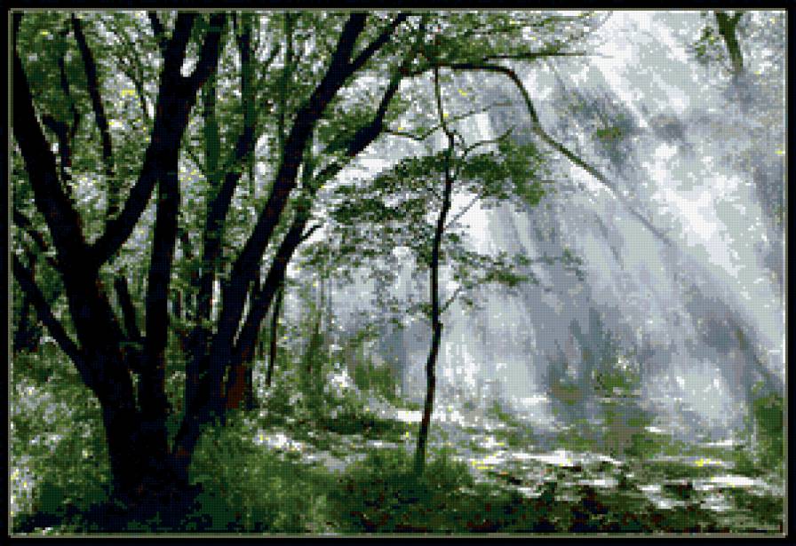 лес - природа, лес, пейзаж - предпросмотр