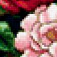 Предпросмотр схемы вышивки «цветы» (№195056)