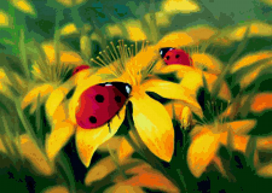 полевые цветы.. - божьи коровки, цветы - предпросмотр