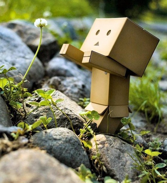 Данбо тянется к солнышку - оригинал