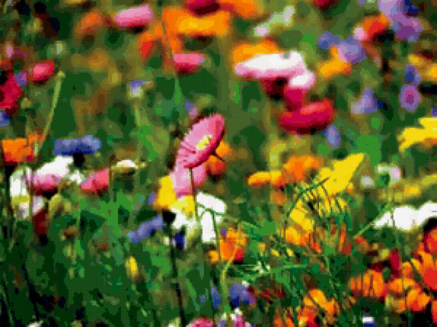 полевые цветы - цветы - предпросмотр