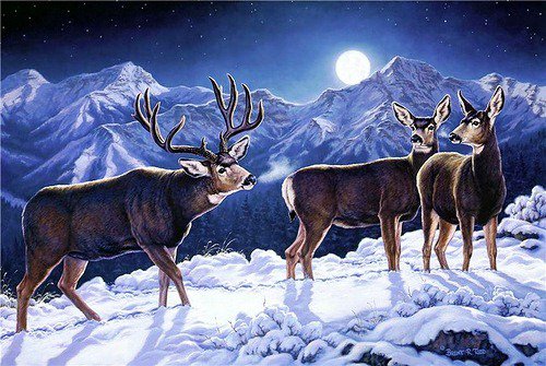 олени - олененок, закат, олень, природа, зима, лес, олени, животные - оригинал