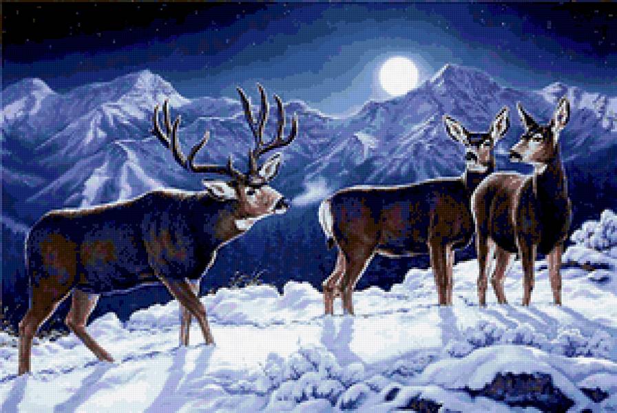 олени - закат, природа, олененок, лес, животные, олени, олень, зима - предпросмотр