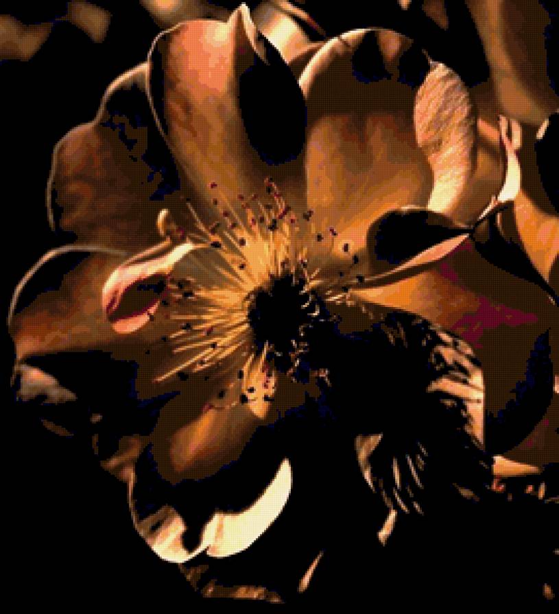 №195501 - цветы - предпросмотр