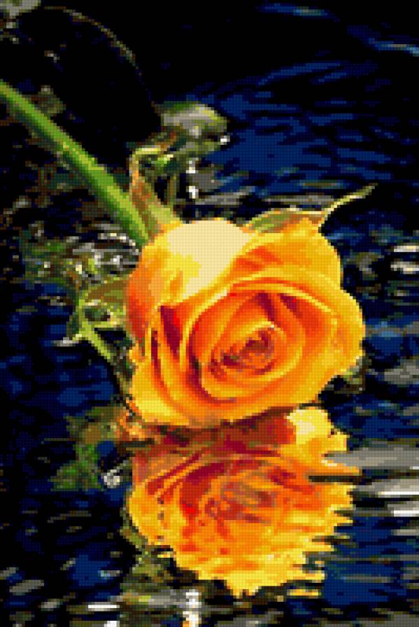 отражение - предпросмотр