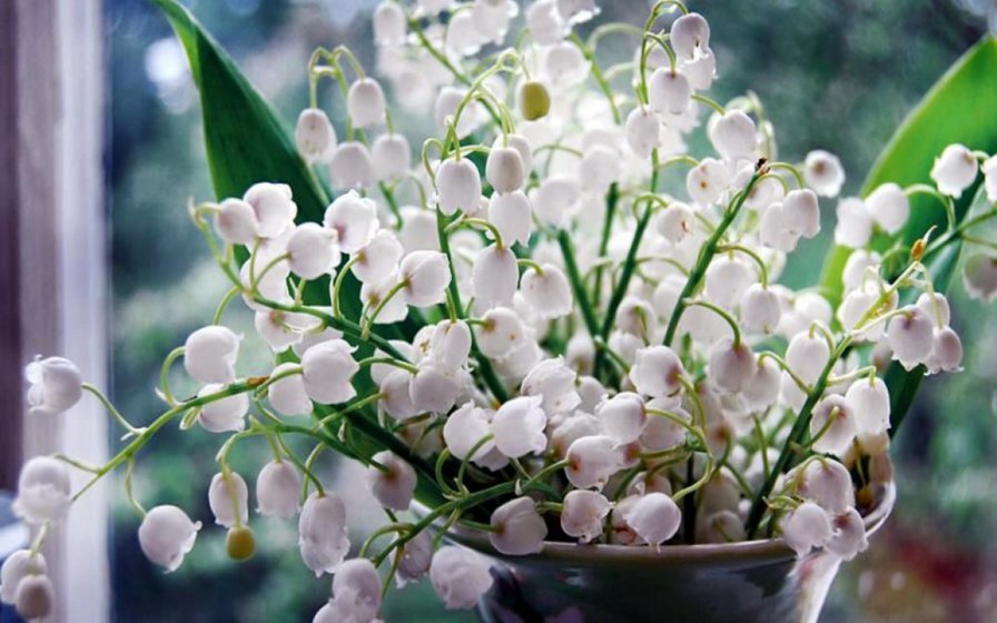 Ландыши - оригинал