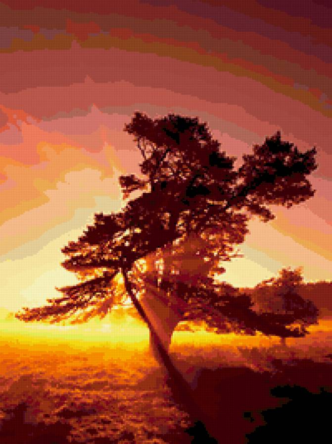 Трепетный закат - предпросмотр