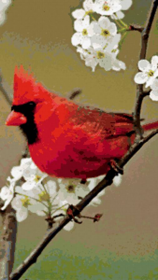 Красная пташка - предпросмотр