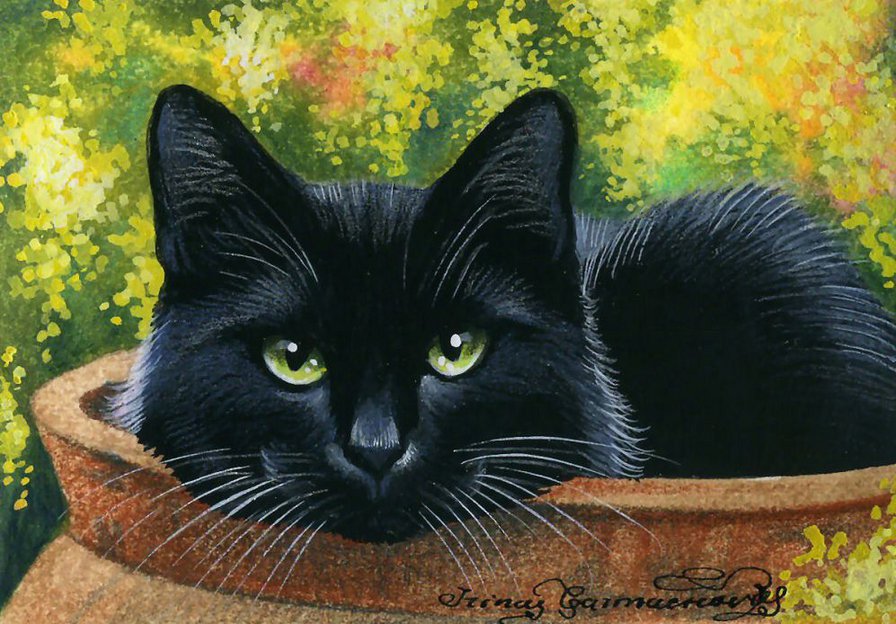 консервированный - кошка - оригинал