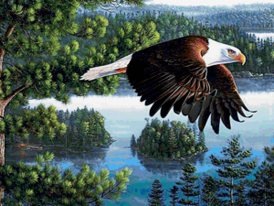 птицы - предпросмотр