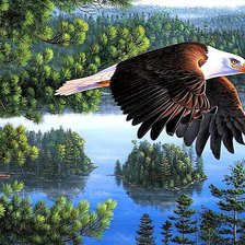 Схема вышивки «птицы»