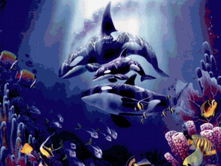 6313 - океан, киты, море, животные, касатки - предпросмотр