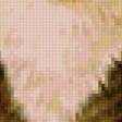 Предпросмотр схемы вышивки «кот-телец» (№195994)