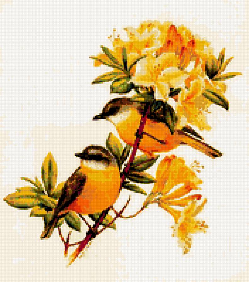 Серия "Птицы" - жолтые, птицы, природа - предпросмотр