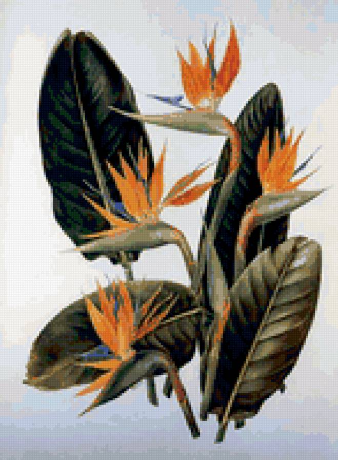 Картина-цветы 3 - живопись, цветы - предпросмотр