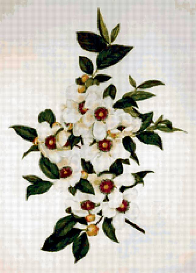 Картина-цветы 4 - живопись, цветы - предпросмотр