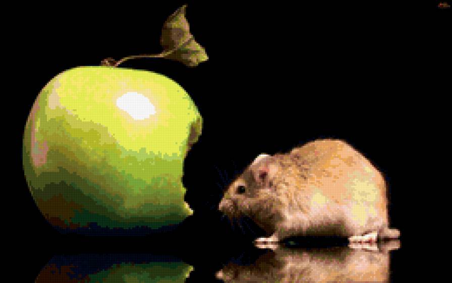яблоко и мышь - предпросмотр