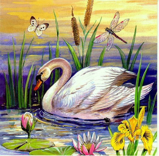 Лебедь - живопись, птицы - оригинал