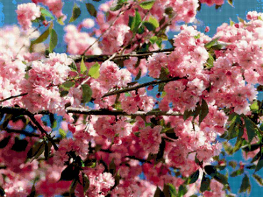 Весенние дни - предпросмотр