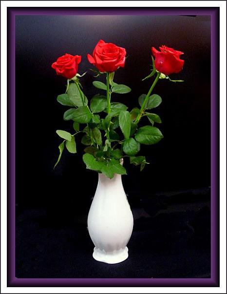 три розы - цветы - оригинал