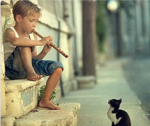 №196890 - оригинал