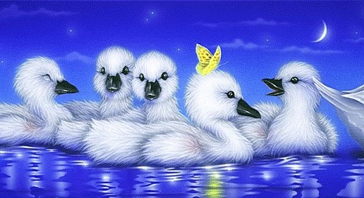 Лебедята - лебеди, ночь, лебедята, луна, озеро, птицы - оригинал