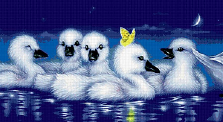 Лебедята - ночь, лебедята, луна, птицы, лебеди, озеро - предпросмотр