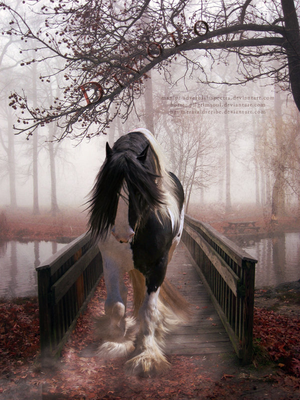 №196941 - оригинал