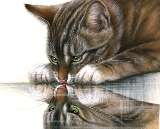 №196947 - оригинал