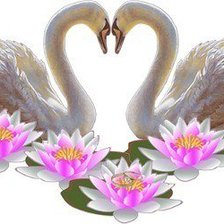 Схема вышивки «Пара лебедей»