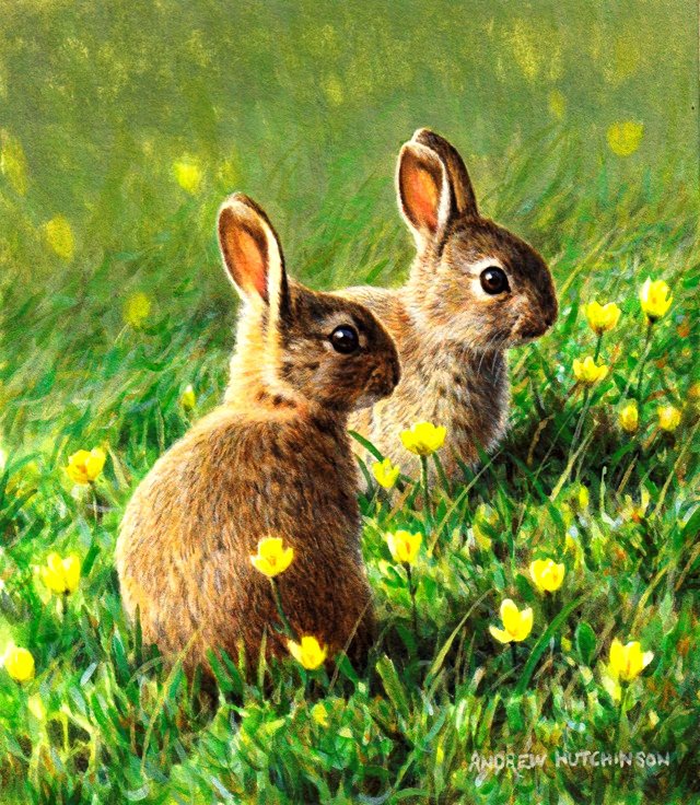 №196970 - оригинал