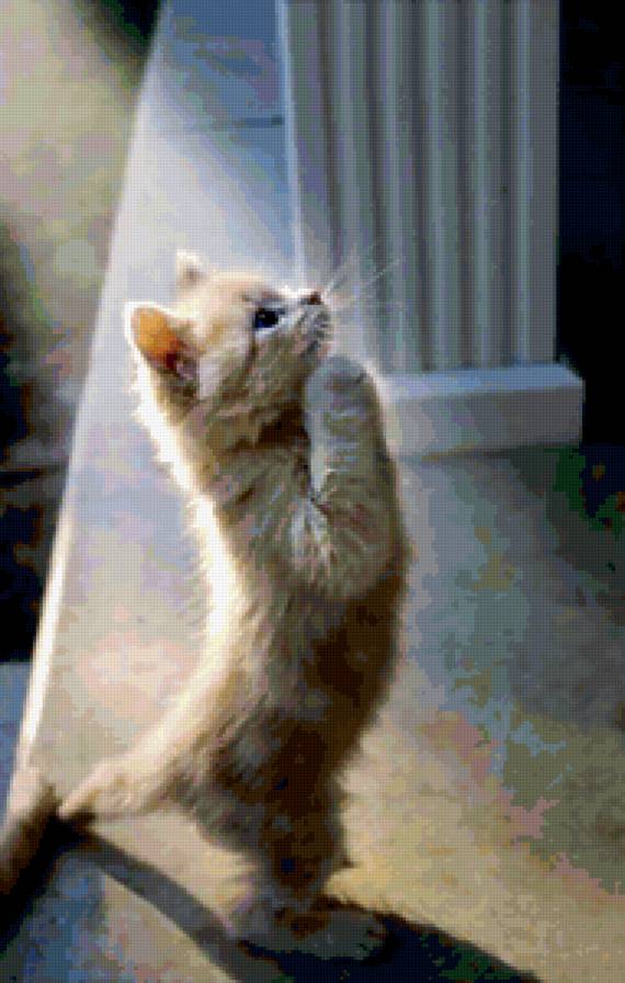 о, боже!!! - предпросмотр