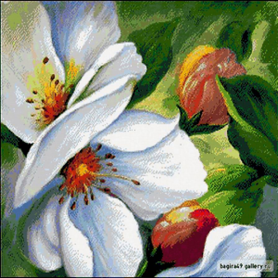 яблоневый цвет - цветы, весна, цветок - предпросмотр