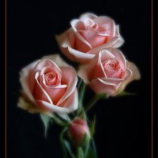 Схема вышивки «розы»