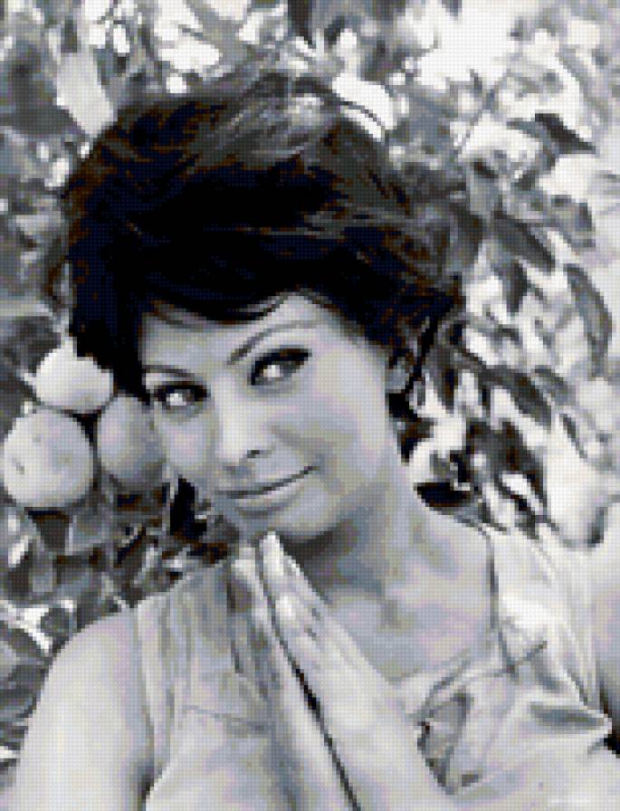 Софи Лорен - софи лорен - предпросмотр